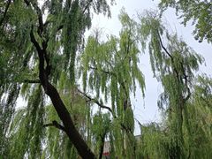 -西宁市人民公园(城西区)