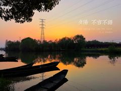 -白塔湖国家湿地公园