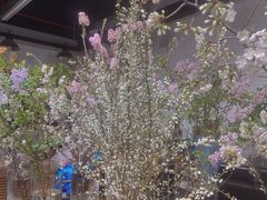 -双季花艺园艺市场(浦东店)