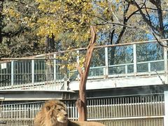 -昆明动物园