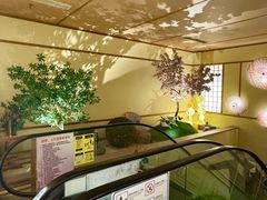 -汤泉良子(金源店)