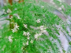 -袁亮今日陶艺(苹果社区总店)