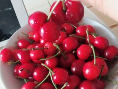 -金陵之星大酒店·中餐厅