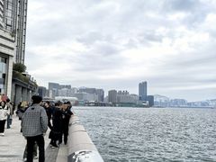 -星光大道