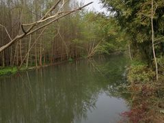 -桤木河湿地公园