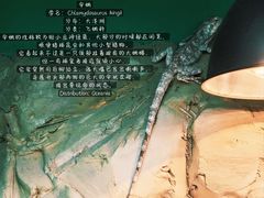 -上海大自然野生昆虫馆(东方明珠·爬宠昆虫探索中心)