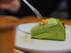 开心果巴斯克-溯洄咖啡VORTEX COFFEE