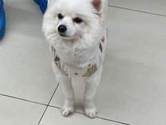 -怪兽屋·羊驼·猫咖·狗咖(俊华广场店)