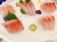 刺身黄狮鱼-贝勒爷·酥不腻烤鸭
