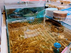 -阿毛饭店·宁波老字号(儿童公园旗舰店)