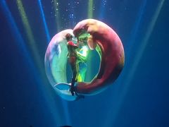 -芜湖新华联大白鲸海洋公园