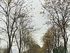 -洲头咀公园