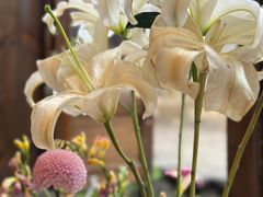 -小喜客·云南特色菜(纳西庭院店)