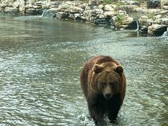 -北京野生动物园