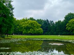 -上海共青森林公园