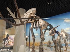 -国家自然博物馆