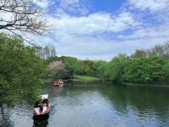 -上海共青森林公园