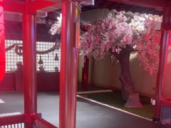 -剧狐剧本杀(徐汇1号店)