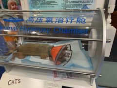 -顺强宠物诊所·狂犬免疫·夜诊·骨科(嘉定店)