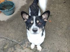 -兰剑驾校(汉阳校区)