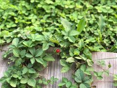 -北京雁栖湖国际会展中心