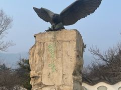 -北京鹫峰国家森林公园