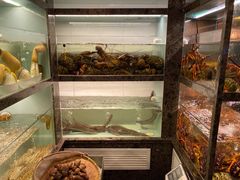 -甄御•海鲜新青岛菜(麦岛店)