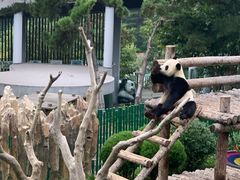 -大连森林动物园