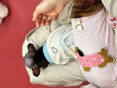 -和它·交个朋友·狗咖猫咖(爱琴海店)