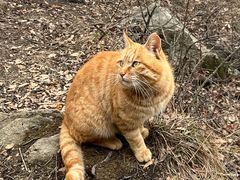 -终南山南五台景区