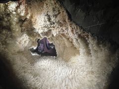 -湖南省地质博物馆