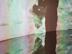 -印象莫奈时光映迹艺术展