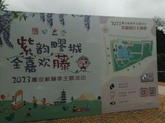 -嘉定紫藤园