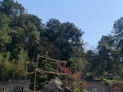 -铁山坪森林公园