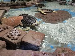 -杭州长乔极地海洋公园
