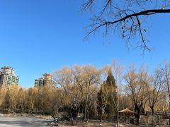 -三忘湖 SWANSEEN(柳荫公园店)