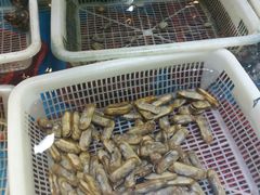 -菲乐餐厅(三十年经营·湖滨路店)