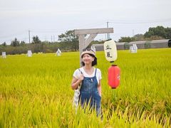 -嘉北郊野公园