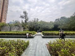 -燕晗山郊野公园