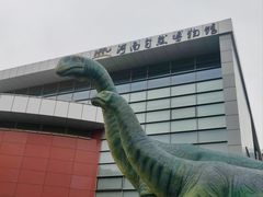 -河南自然博物馆
