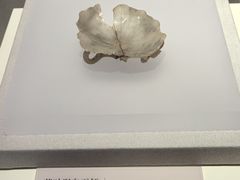 -衢州市博物馆