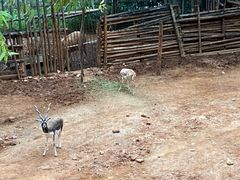 -昆明动物园