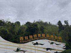 -西双版纳原始森林公园