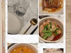 -MR鹅外