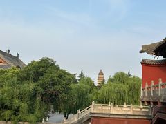 -洛阳白马寺