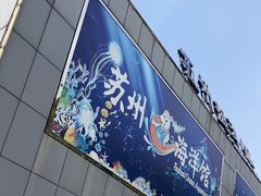 -苏州海洋馆
