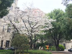 -大可堂普洱茶馆(襄阳南路馆)