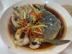-煲来饱去冷水鱼