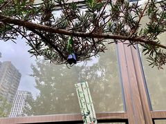 -扫雪煮茶(西村店)