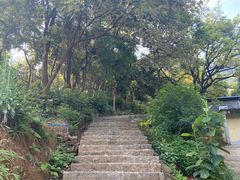 -黄埔油麻山森林公园